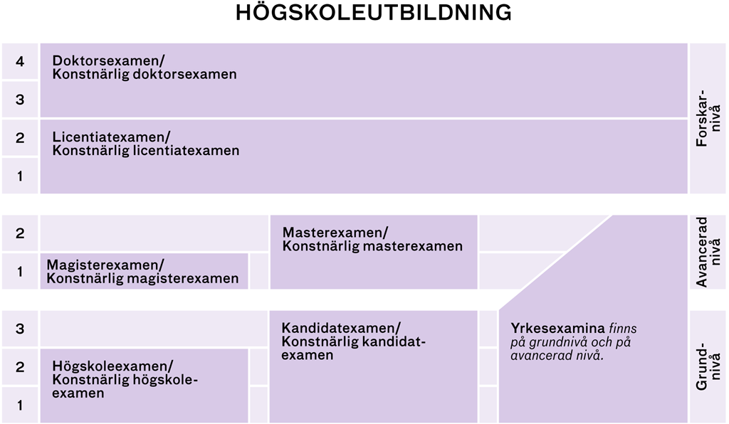 Grafik beskrivande utbildningsnivåer och examina, finns i textform under rubriken "Lista över alla examina" på denna sida